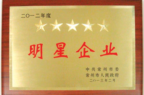 2012年度明星企业
