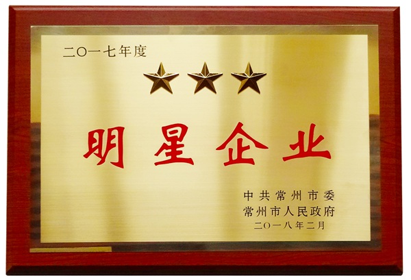 2017年度明星企业